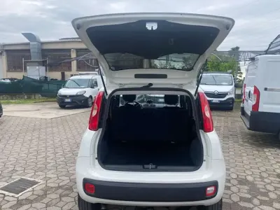 Usata Fiat Panda 4x4 84 CV (61 kW) 2020 Bianco Utilitaria