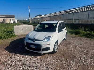 Usata Fiat Panda 70 CV (51 kW) 2021 Bianco Utilitaria