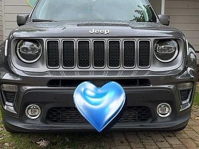 Usata Jeep Renegade 2019 Grigio SUV