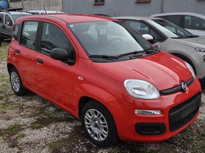 Usata Fiat Panda S 2021 Rosso Utilitaria