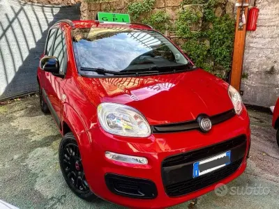 Usata Fiat Panda Dynamic 69 CV (50 kW) 2013 Rosso Utilitaria