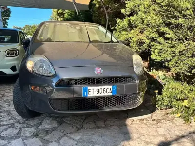 Usata Fiat Punto 77 CV (56 kW) 2013 Utilitaria