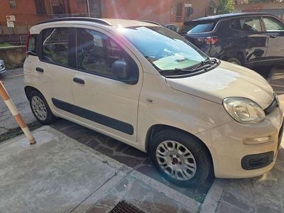 Usata Fiat Panda Young 75 CV (55 kW) 2014 Beige Utilitaria