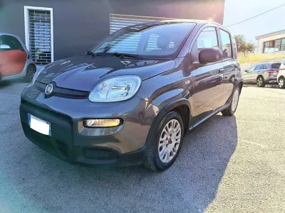 Usata Fiat Panda S 69 CV (50 kW) 2022 Grigio Utilitaria