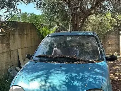 Usata Fiat 600 2000