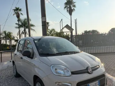 Usata Fiat Panda Lounge 69 CV (50 kW) 2017 Beige Utilitaria