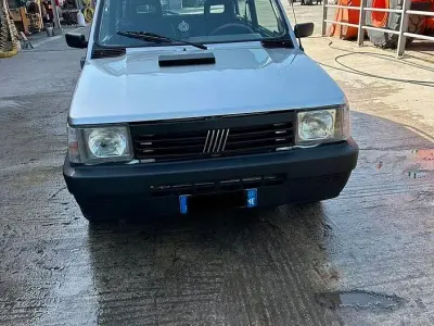 Usata Fiat Panda 54 CV (39 kW) 2002 Grigio Utilitaria