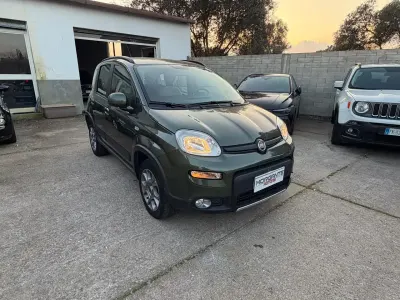 Usata Fiat Panda 4x4 Trekking 75 CV (55 kW) 2014 Verde Utilitaria