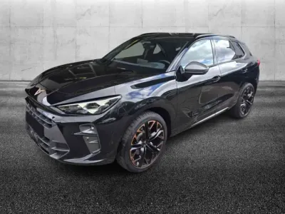 Usata Cupra Terramar