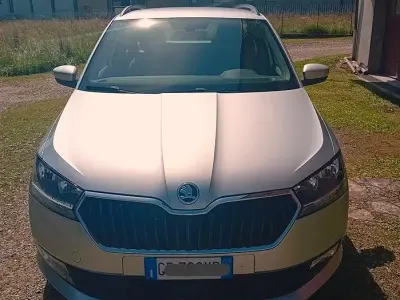 Usata Skoda Fabia