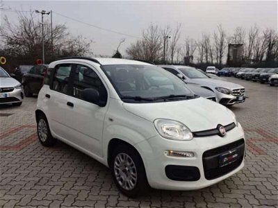 usata Fiat Panda 1.2 Lounge 69cv ADATTA X NEOPATENTATI Abbiategrasso