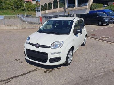 Nuova Fiat Panda Icon 65 CV (47 kW) 2025 Bianco Utilitaria