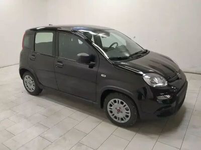 usata Fiat Panda 1.0 Vettura usata, 0 kilometri, con garanzia .