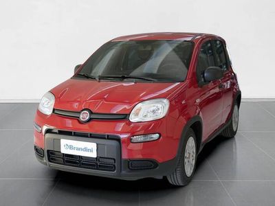 usata Fiat Panda my23 1.0 gse 70cv hybrid e6.4