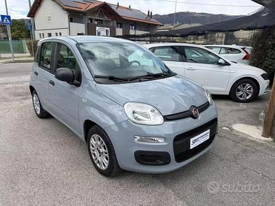 Usata Fiat Panda Easy 69 CV (50 kW) 2019 Grigio Utilitaria