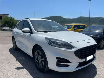 Usata Ford Kuga ST-Line 120 CV (88 kW) 2023 Bianco SUV