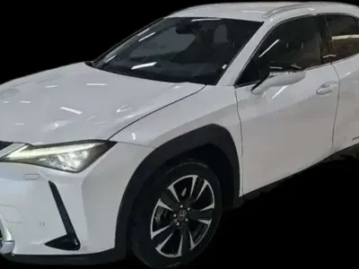 Usata Lexus UX 250h Luxury Line 145 CV (106 kW) 2020 Bianco SUV
