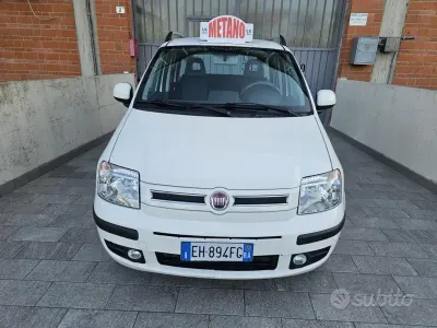 Usata Fiat Panda Dynamic 69 CV (50 kW) 2012 Bianco Utilitaria