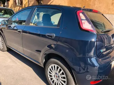 Usata Fiat Punto 77 CV (56 kW) 2014 Nero Utilitaria