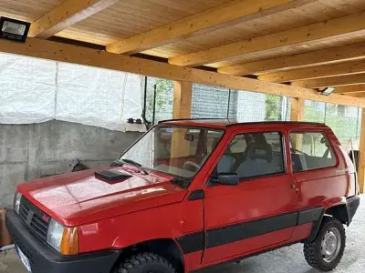 Usata Fiat Panda 4x4 Trekking 54 CV (39 kW) 2002 Utilitaria