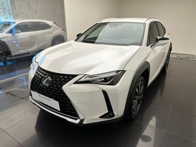 usata Lexus UX UX 250hHybrid Premium