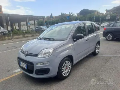 Usata Fiat Panda 69 CV (50 kW) 2022 Grigio Utilitaria