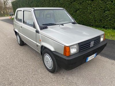 usata Fiat Panda 1100 i.e. cat Young