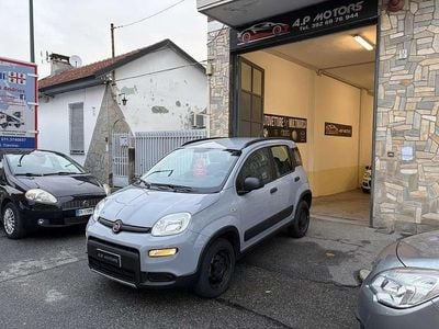 Usata Fiat Panda 4x4 S 86 CV (63 kW) 2019 Grigio Utilitaria