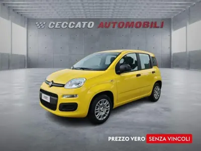 Nuova Fiat Panda Pop 65 CV (47 kW) 2026 Giallo Utilitaria