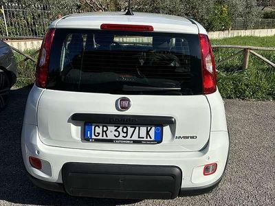 Usata Fiat Panda City Life 69 CV (50 kW) 2023 Utilitaria