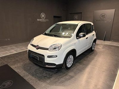 Usata Fiat Panda S 70 CV (51 kW) 2023 Bianco Utilitaria