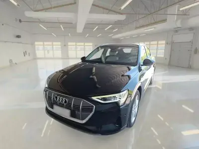 Usata Audi e-tron