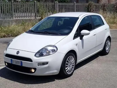 Usata Fiat Punto Evo