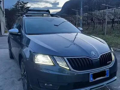 Usata Skoda Octavia Scout 186 CV (136 kW) 2019 Grigio Station wagon