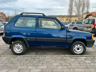 Usata Fiat Panda 4x4 Trekking 54 CV (39 kW) 2002 Utilitaria