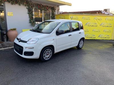 Usata Fiat Panda Easy 69 CV (50 kW) 2021 Bianco Utilitaria