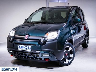 usata Fiat Panda Cross Cross 1.0 FireFly S&S Hybrid del 2023 usata a Calusco d'Adda