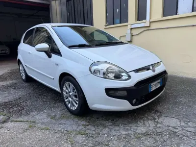Usata Fiat Punto Evo Dynamic 75 CV (55 kW) 2010 Bianco Utilitaria