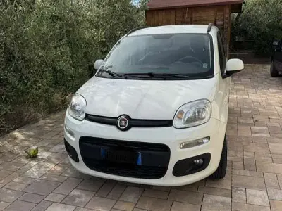 Usata Fiat Panda Lounge 69 CV (50 kW) 2019 Utilitaria