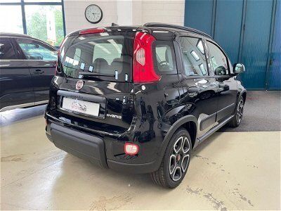 usata Fiat Panda Cross 1.0 FireFly S&S Hybrid City usato