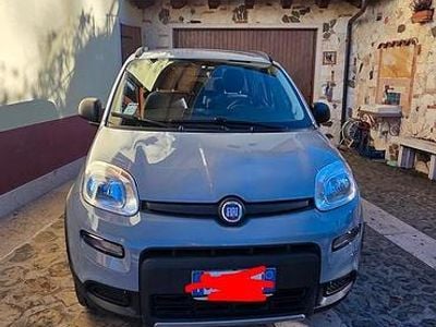 Usado Fiat Panda 4x4 85 CV (62 kW) 2020 Gris Utilitario