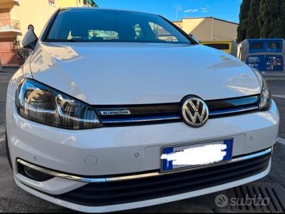 usata VW Golf VIII Golf 1.5 TGI DSG 5p. Executive BlueMotion Technology