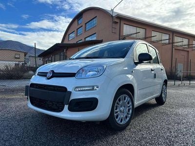 Nuova Fiat Panda Pop 92 CV (67 kW) 2026 Bianco gelato Utilitaria