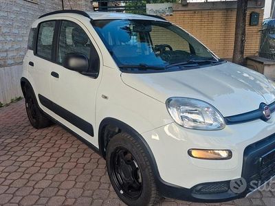Usata Fiat Panda 4x4 S 95 CV (69 kW) 2018 Bianco Utilitaria