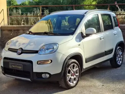 Usata Fiat Panda 4x4 S 75 CV (55 kW) 2014 Bianco Utilitaria
