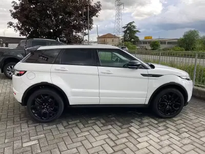 Usata Land Rover Range Rover evoque Dynamic 2013 Bianco SUV