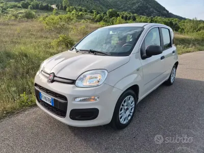 Usata Fiat Panda Easy 69 CV (50 kW) 2017 Beige Utilitaria