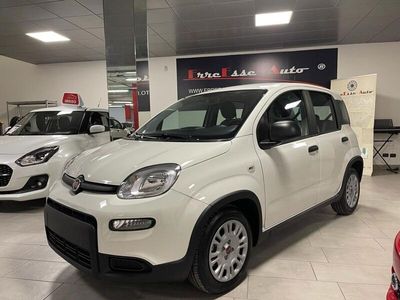 usata Fiat Panda 1.0 Hybrid City Life 5p