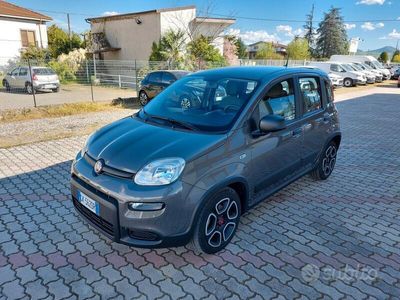 usata Fiat Panda 1.0 70cv E6D Hybrid CITY LIFE