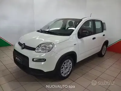 Usata Fiat Panda S 70 CV (51 kW) 2024 Bianco Utilitaria